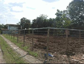 ให้เช่า ที่ดินเปล่า ถมแล้ว มีรั้วล้อมรอบ 145 ตร.วา ติดถนนใหญ่ มิตรไมตรี ใกล้ซอยมิตรไมตรี 15 เยื้องหมู่บ้านเต็มสิริวิลล์